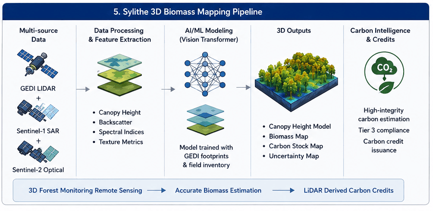 Sylithe 3D biomass pipeline combining GEDI LiDAR, SAR, and optical satellite imagery