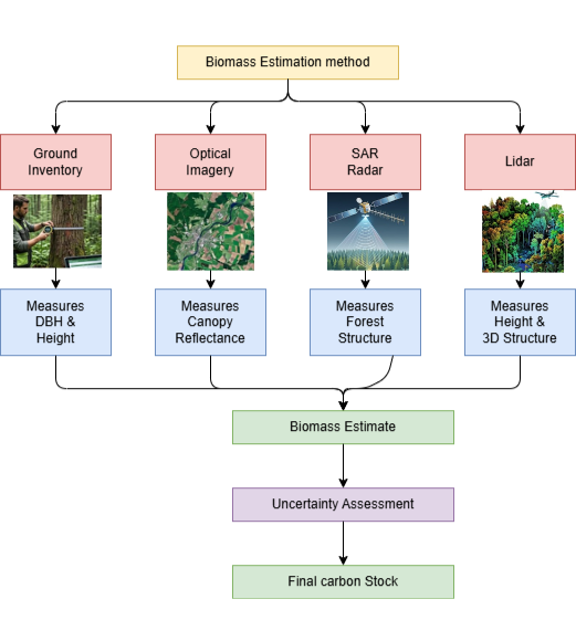 Biomass Estimation Methods