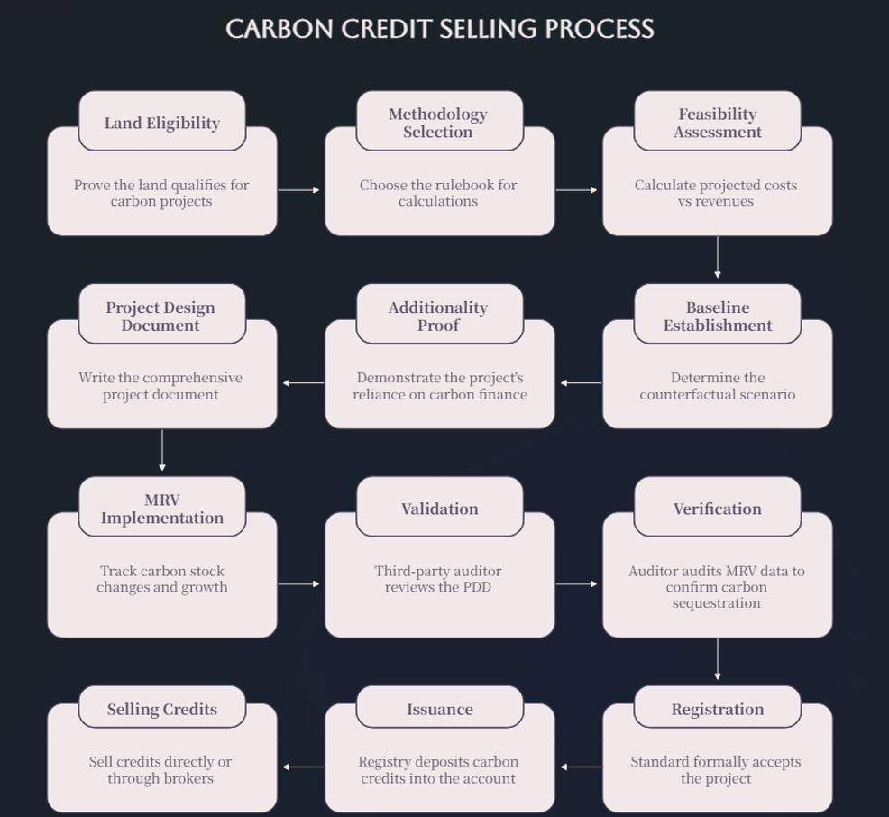 Carbon Credit Selling Process