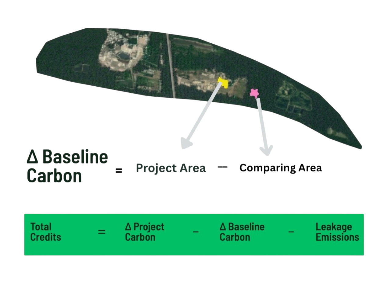 Dynamic Baseline Carbon Computation Graph India