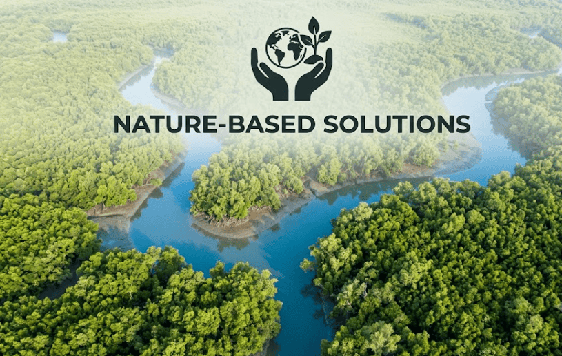 Nature-Based Solutions in India: The Scale of the Opportunity A 2026 Sector Outlook