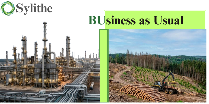 Additionality in the Indian Carbon Market: Beyond the Narrative