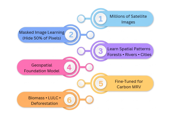 How Foundation Models Learn Without Labels