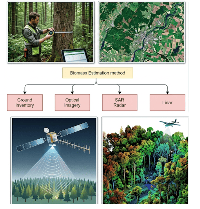 Biomass Estimation Methods Compared: From Tape Measures to Lasers A Technical Deep Dive