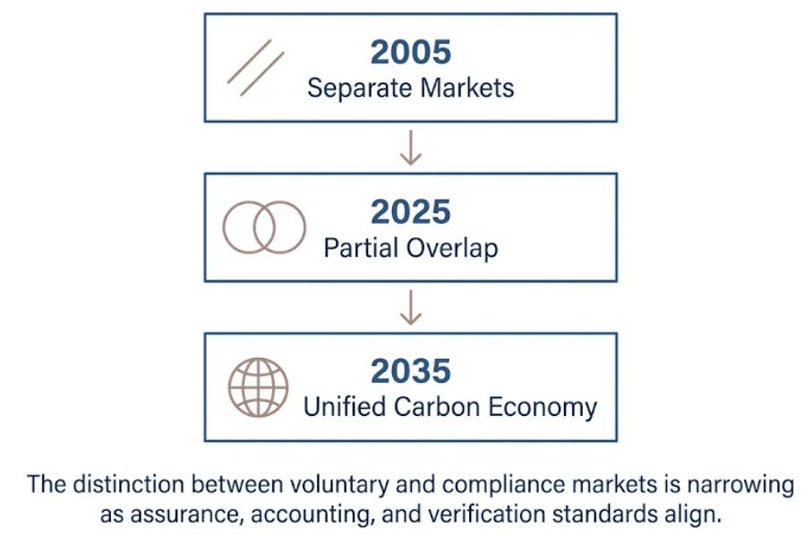 Evolution of voluntary and compliance carbon markets
