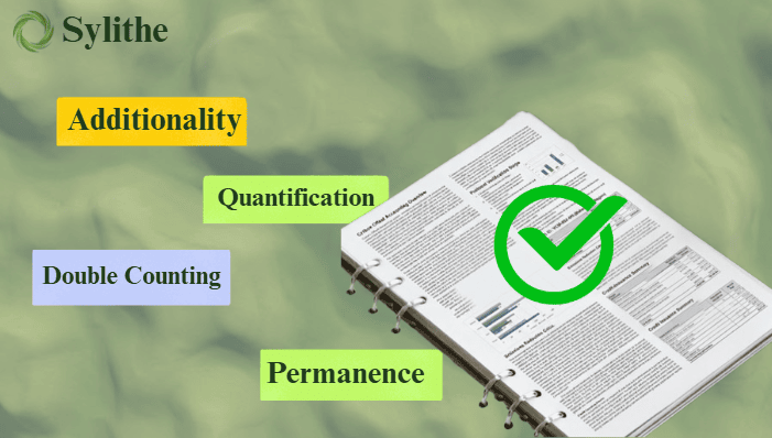What Makes a High-Integrity Carbon Credit? ICVCM & CCPs Explained
