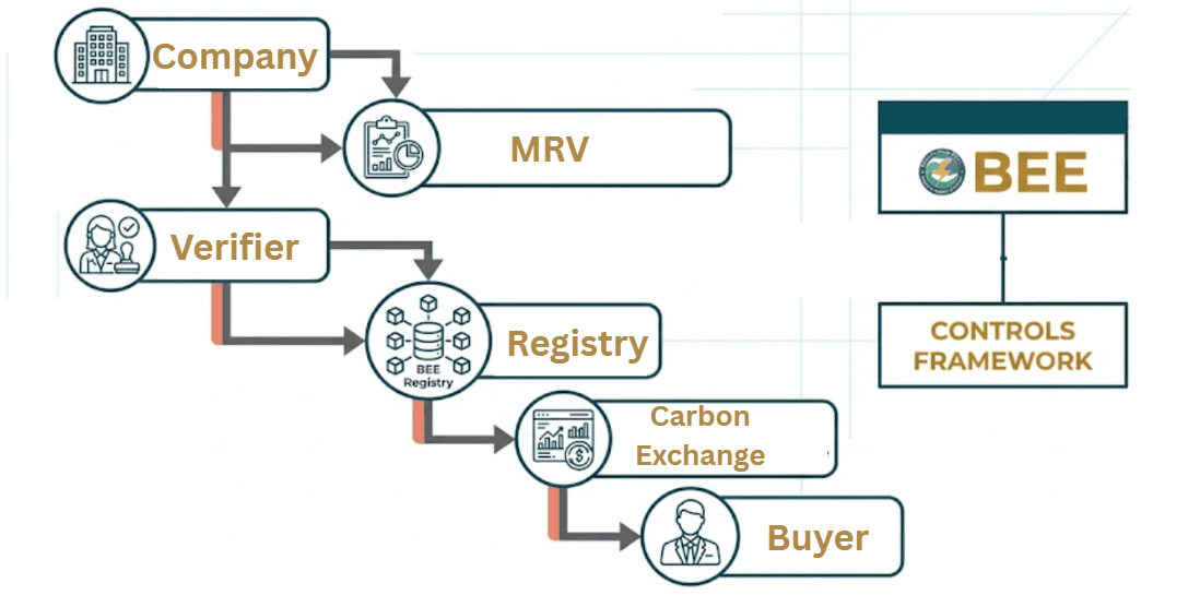 CCTS market architecture