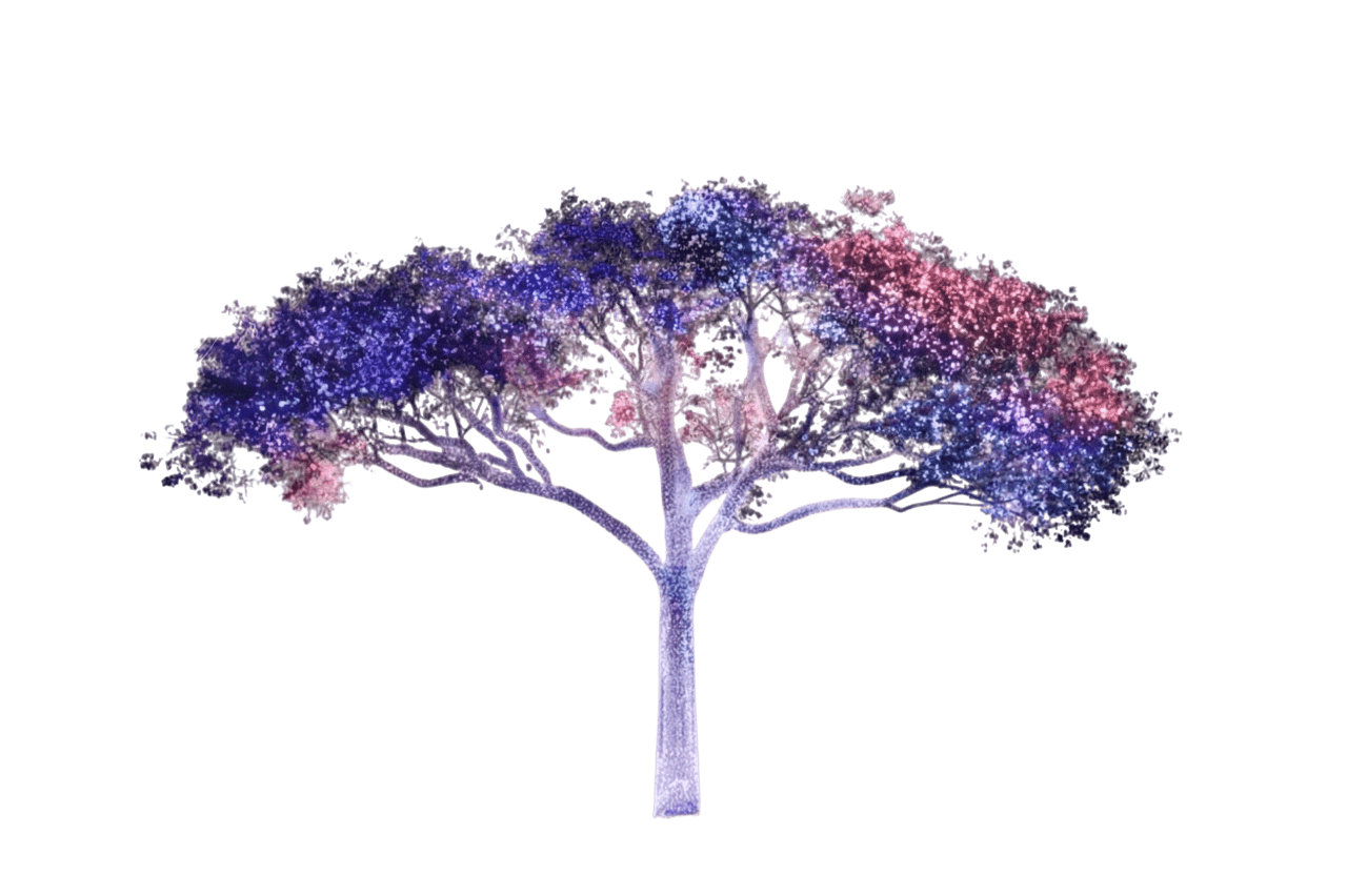 Canopy Height Model Visualization