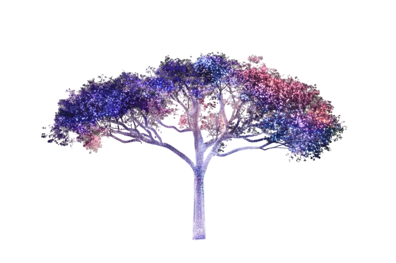 Canopy Height Model Visualization