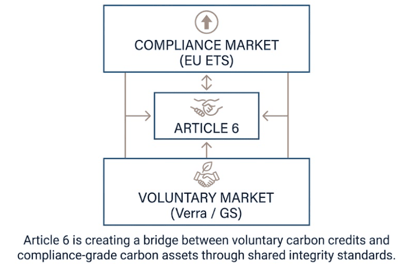 Convergence of voluntary and compliance carbon markets