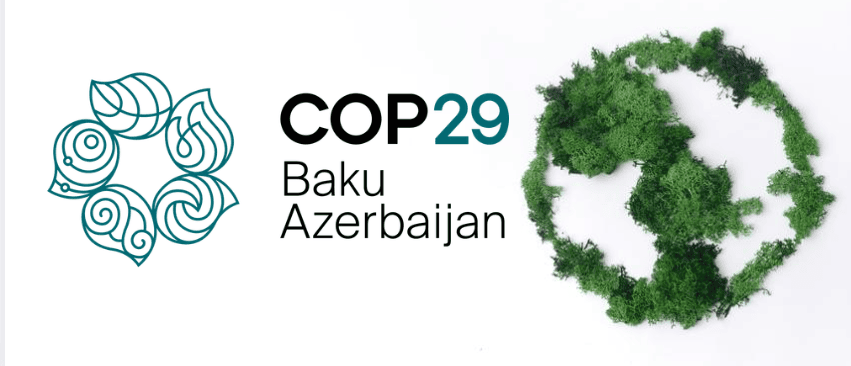 COP29 Article 6 Deal: What Actually Got Agreed and What It Means for Carbon Credits