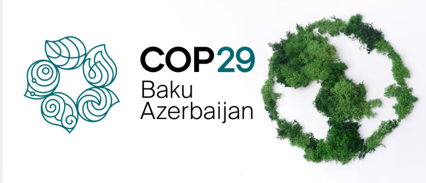 COP29 Article 6 Deal: What Actually Got Agreed and What It Means for Carbon Credits