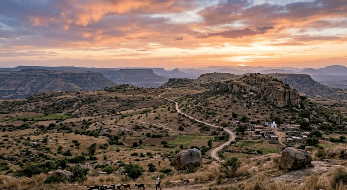 The Deccan Plateau Grasslands: India’s Most Overlooked Carbon Sink And Why We Need to Stop Planting Trees There