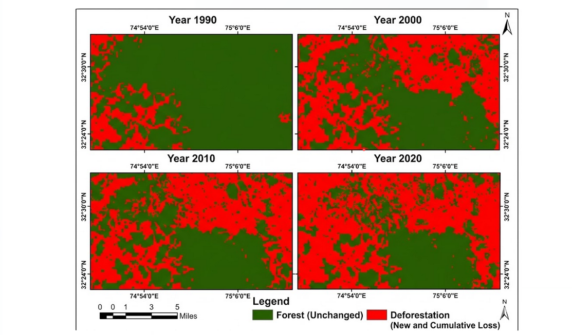 Graph showing deforestation trends and leakage correlations