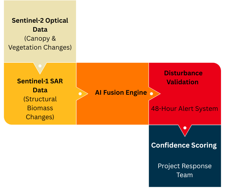 AI Deforestation Detection Architecture