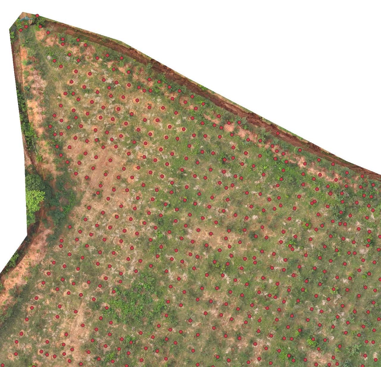 REDD+ Continuous Monitoring