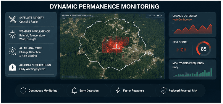 Satellite MRV permanence monitoring workflow