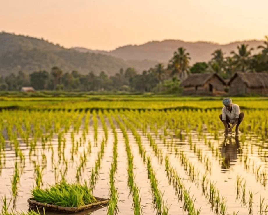 What is Biochar? Everything You Need to Know in 2026