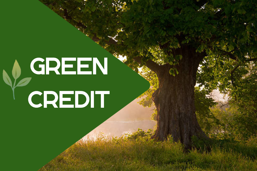 Green Credit Programme for Companies: Rules, Costs and How to Earn Credits