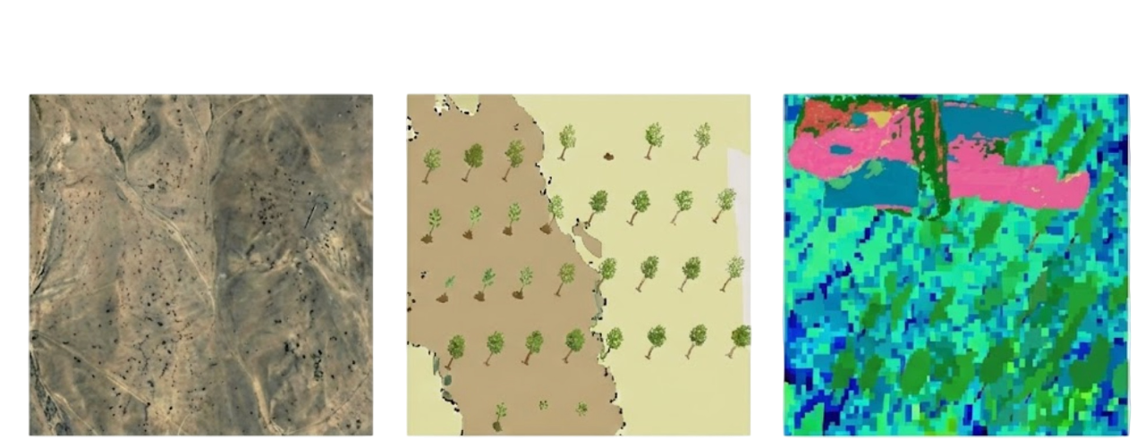 ARR vs REDD+ Methodology Map