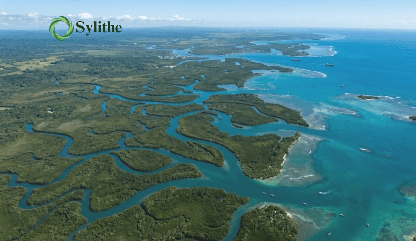 Verifying Mangroves From Space: A Different Kind of Hard