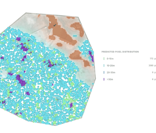 Sylithe canopy height model output for forest carbon