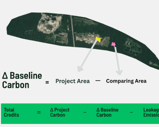 Sylithe dynamic carbon accounting baseline project vs comparison area