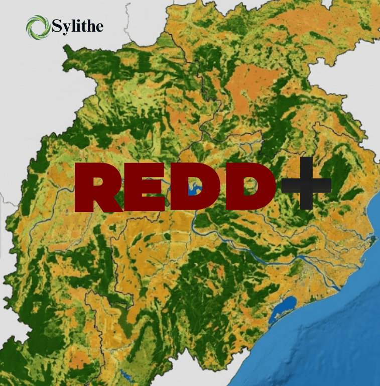 REDD+ forest cover mapping across a jurisdiction