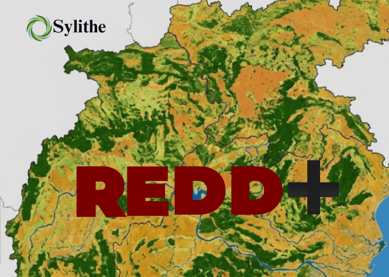 Verra's VM0048: The End of Project-Level Baselines in REDD+