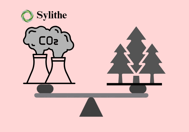 Voluntary vs. Compliance Carbon: The Great Convergence
